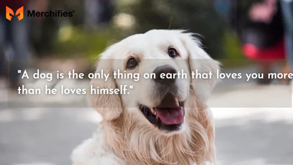 Loving quotes for dogs