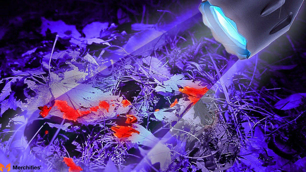 Blood Tracking Light