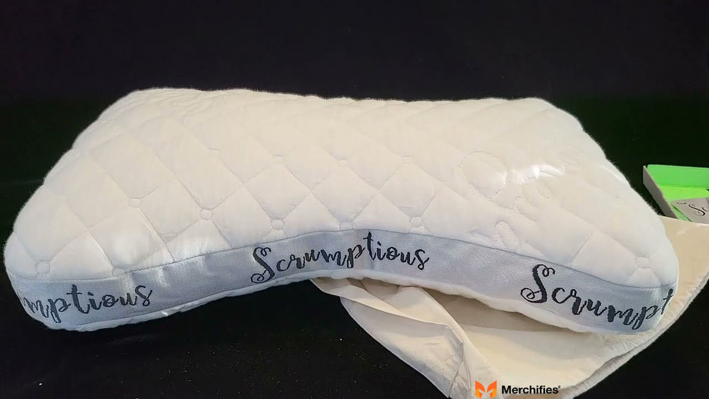 Travel Pillow with Scrumptiousness