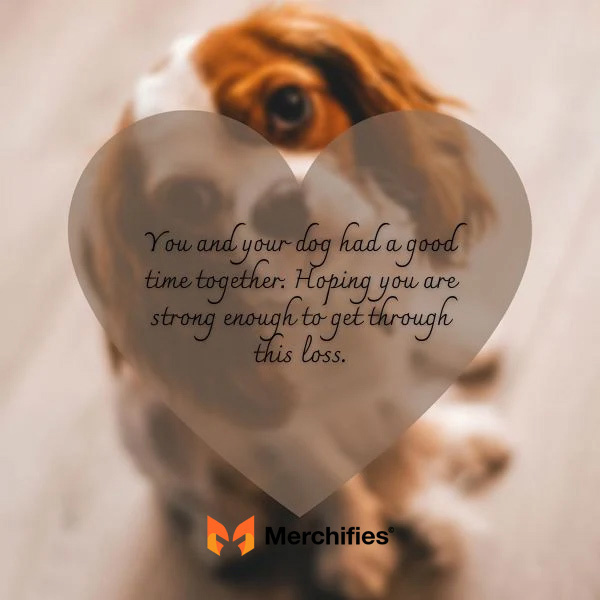 Pet loss sympathy messages