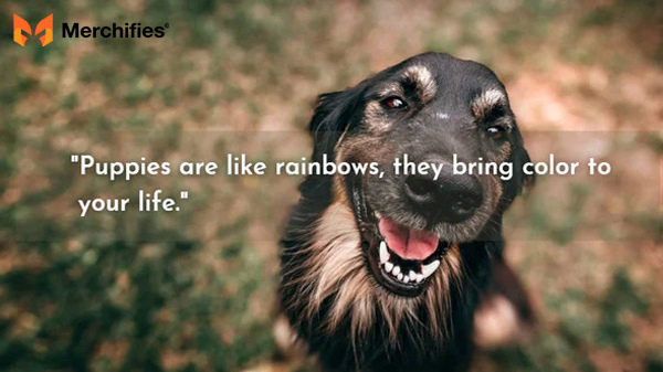 Quote about dogs