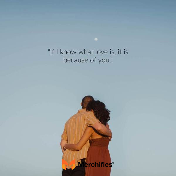 Quotes for love partner