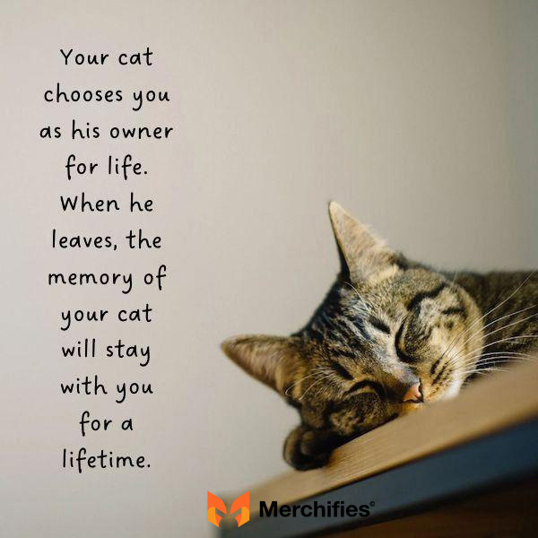 Sympathy message for pet