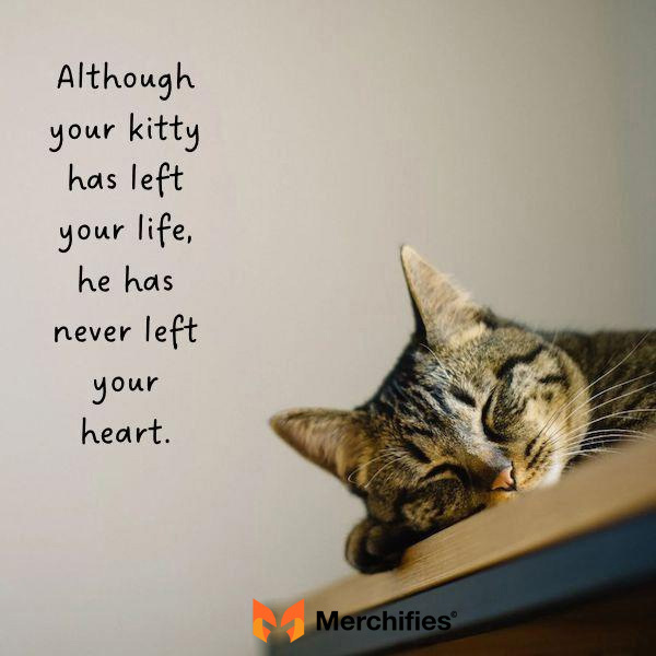 Sympathy message loss of pet