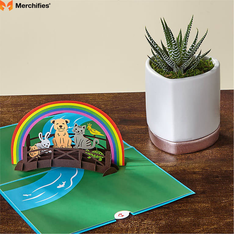 Pop-Up Card of the Rainbow Bridge