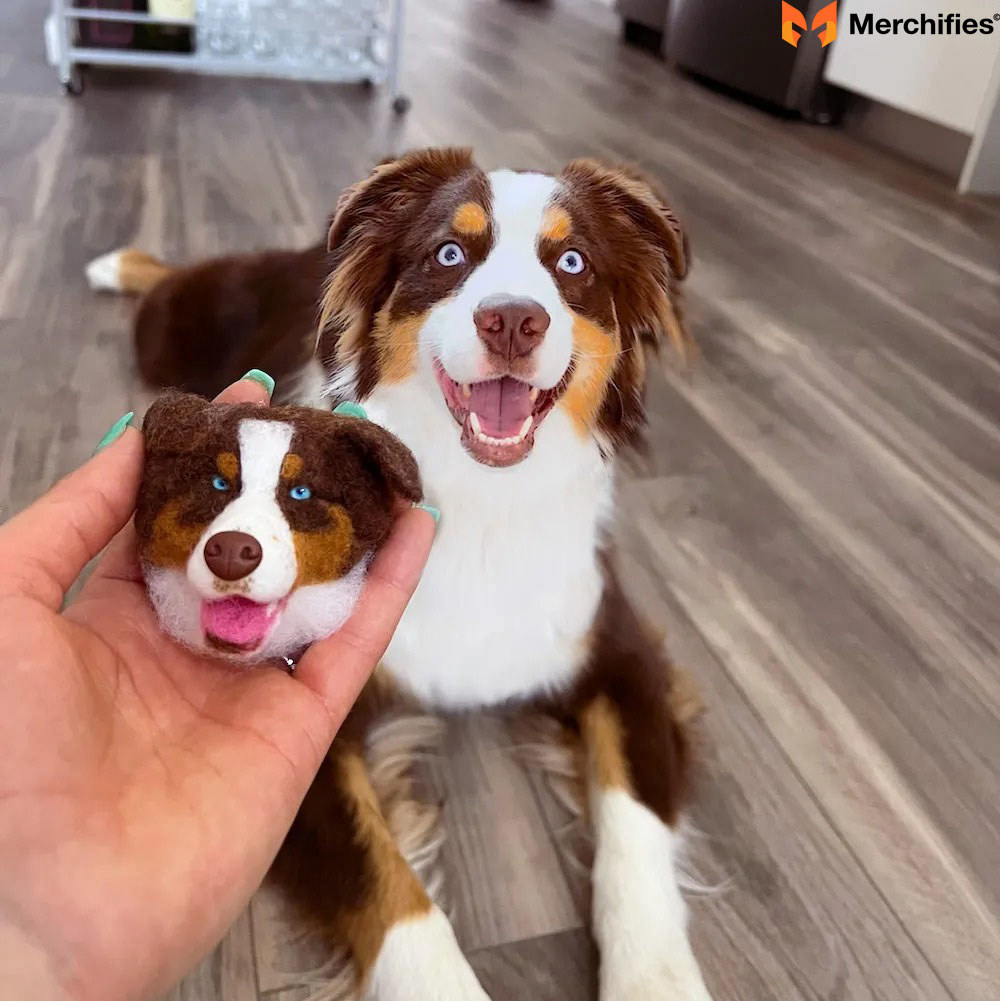 Pet Magnets
