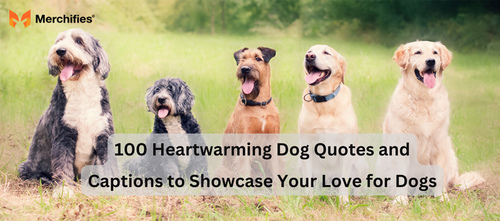 100 Heartwarming Dog Quotes and Captions to Showcase Your Love for Dogs