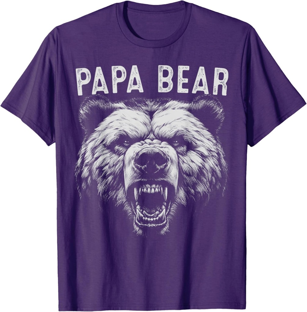 Papa Bear Best Idea Fathers Day Funny Bear Gifts For Men Dad T-Shirt
