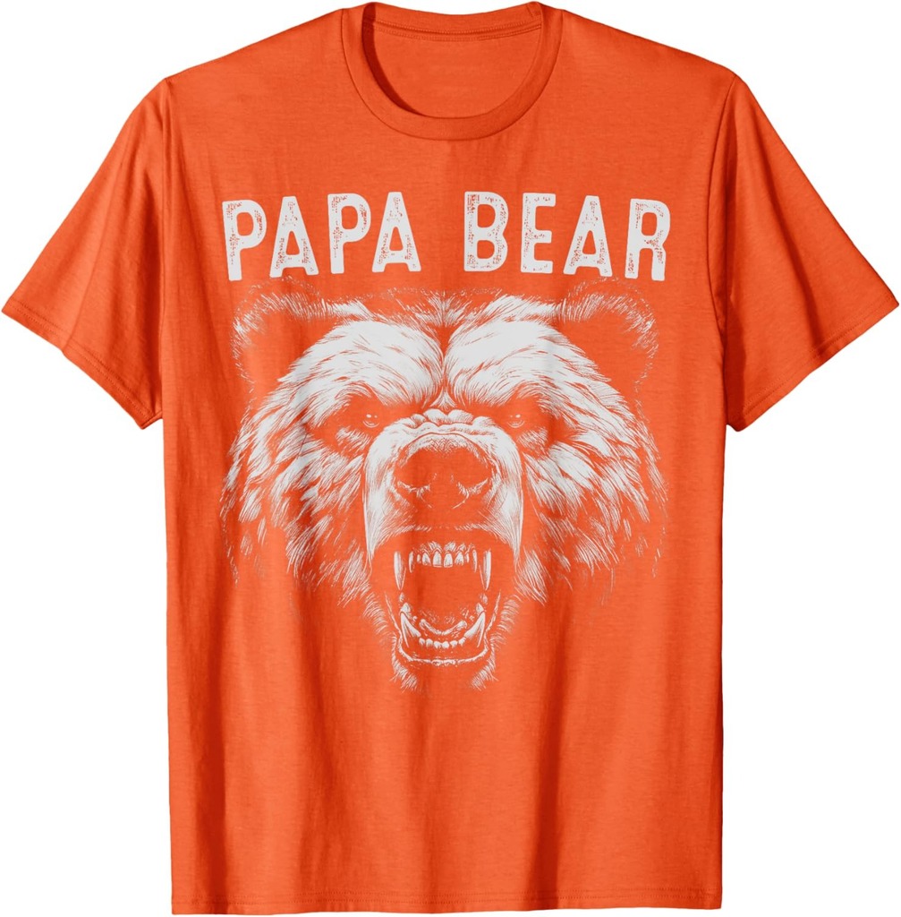 Papa Bear Best Idea Fathers Day Funny Bear Gifts For Men Dad T-Shirt