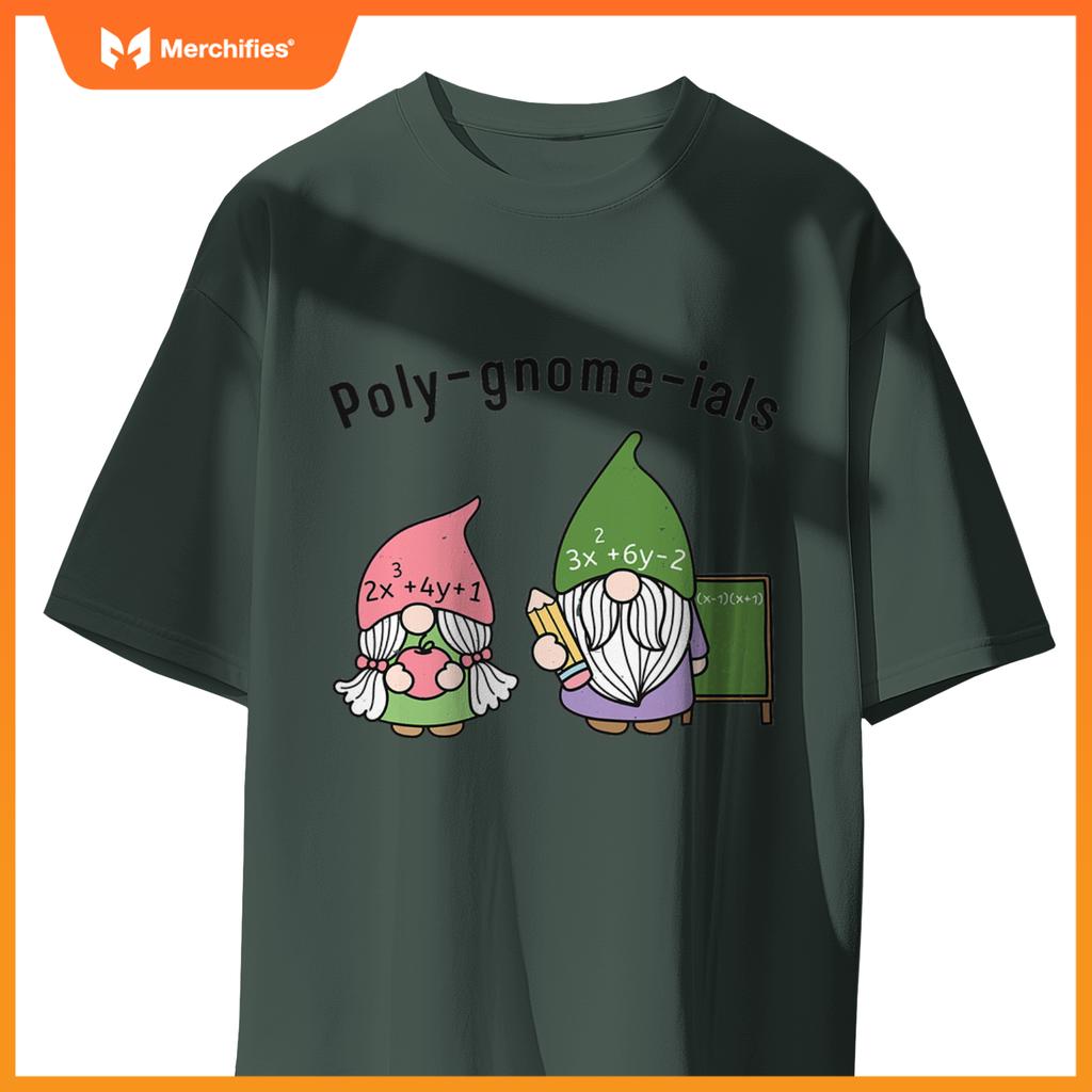 Funny Math Teacher Poly-gnome-ials Algebra Teacher Calculus