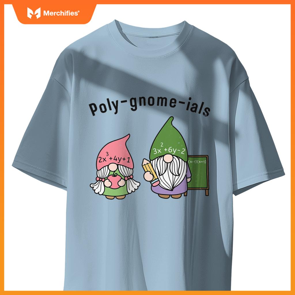 Funny Math Teacher Poly-gnome-ials Algebra Teacher Calculus