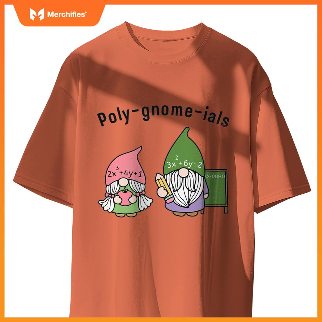 Funny Math Teacher Poly-gnome-ials Algebra Teacher Calculus