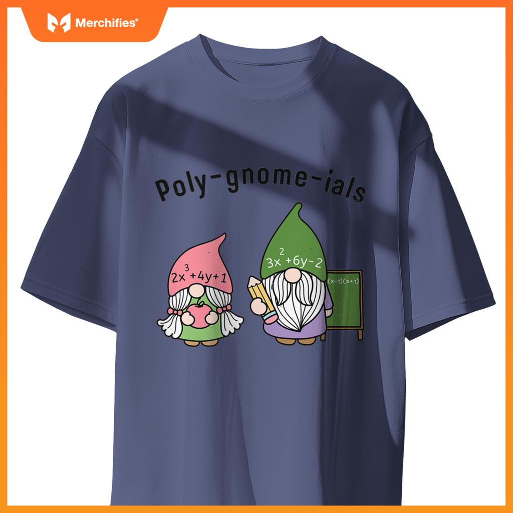 Funny Math Teacher Poly-gnome-ials Algebra Teacher Calculus