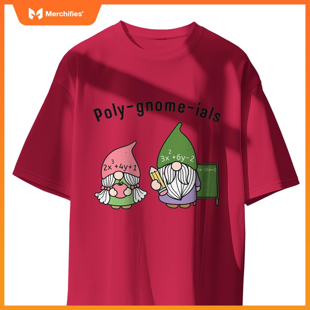 Funny Math Teacher Poly-gnome-ials Algebra Teacher Calculus