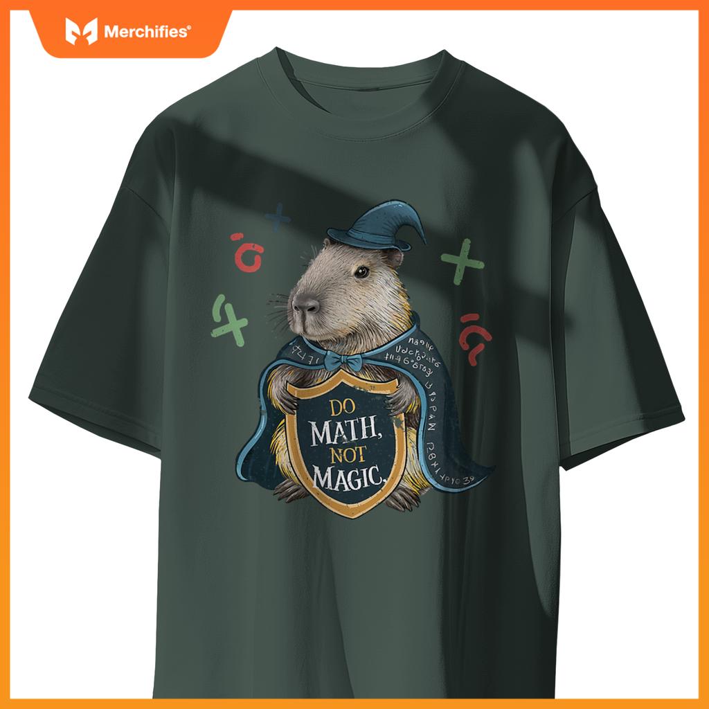 Do math not magic capybara wizard math teacher