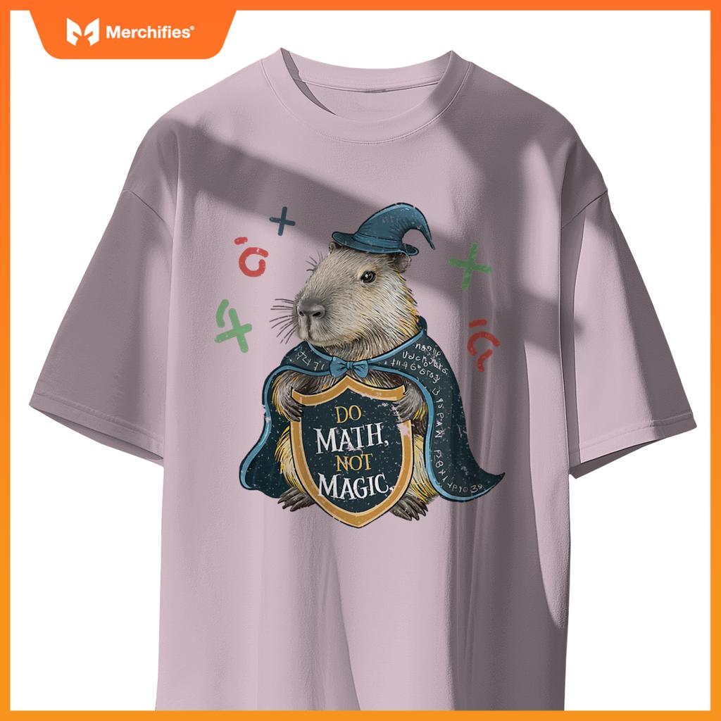 Do math not magic capybara wizard math teacher