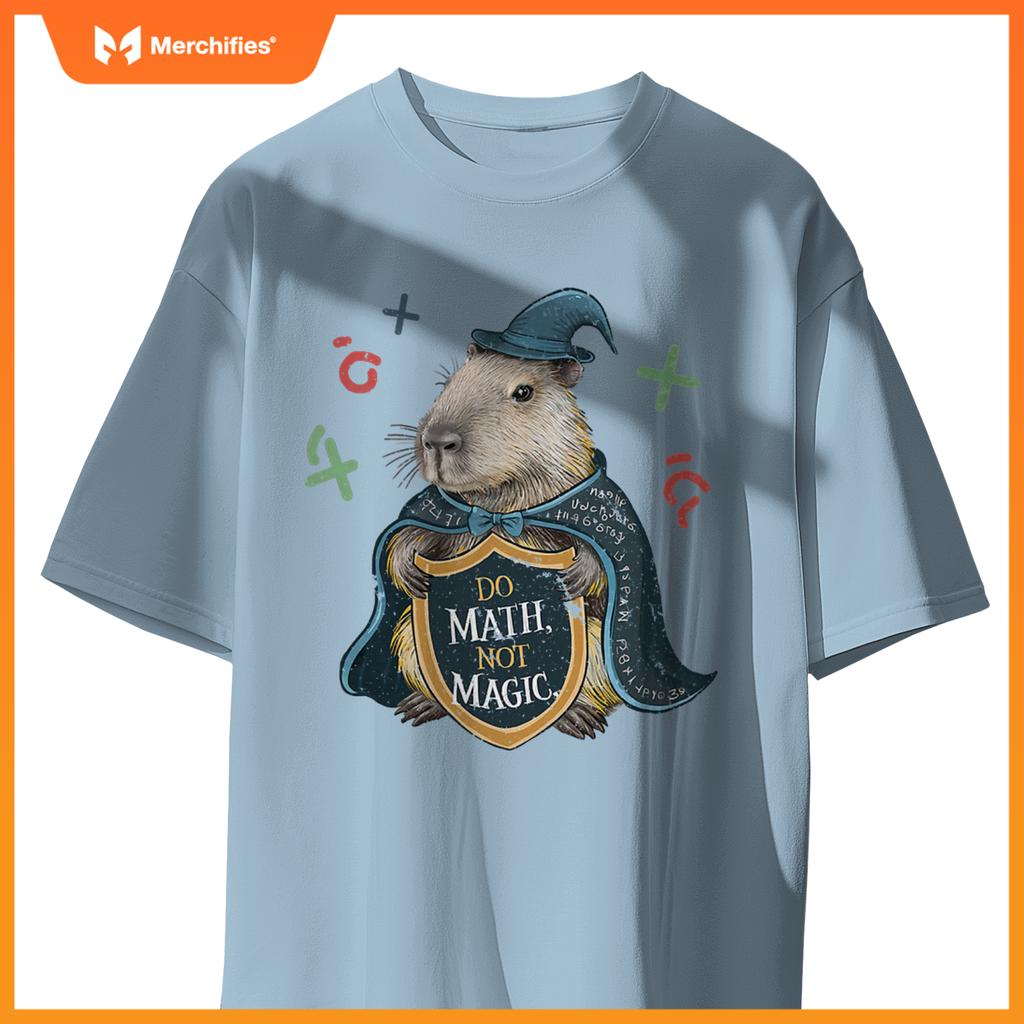Do math not magic capybara wizard math teacher