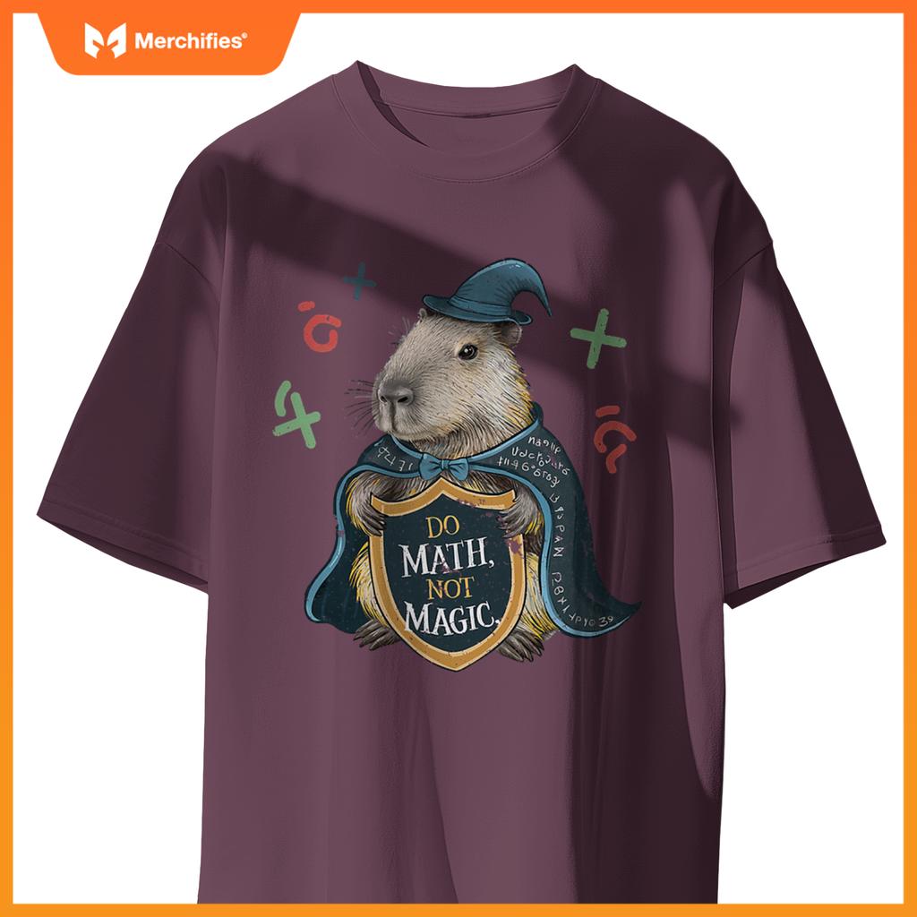 Do math not magic capybara wizard math teacher
