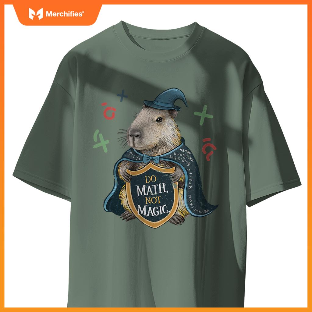 Do math not magic capybara wizard math teacher