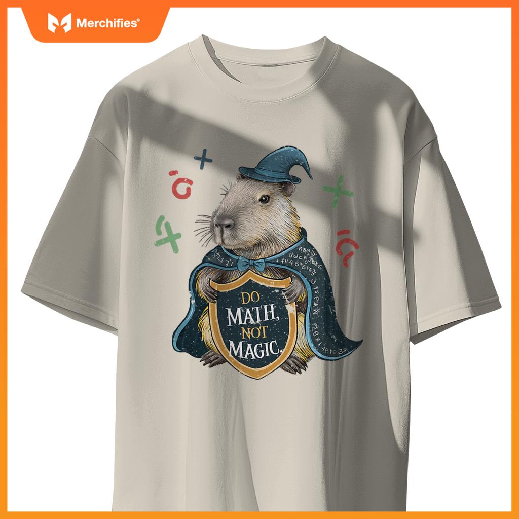 Do math not magic capybara wizard math teacher