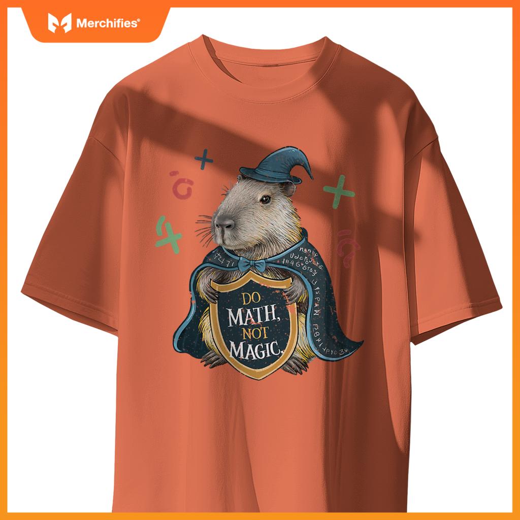 Do math not magic capybara wizard math teacher