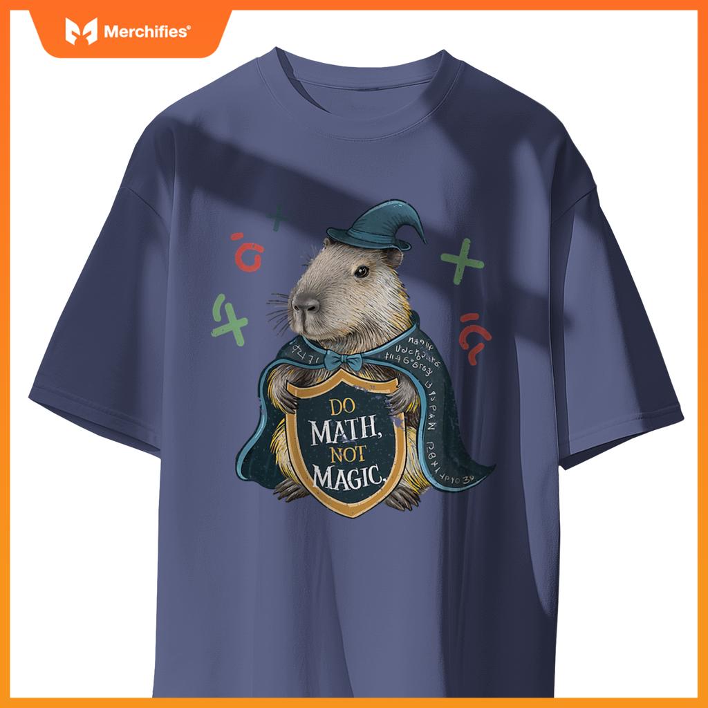 Do math not magic capybara wizard math teacher