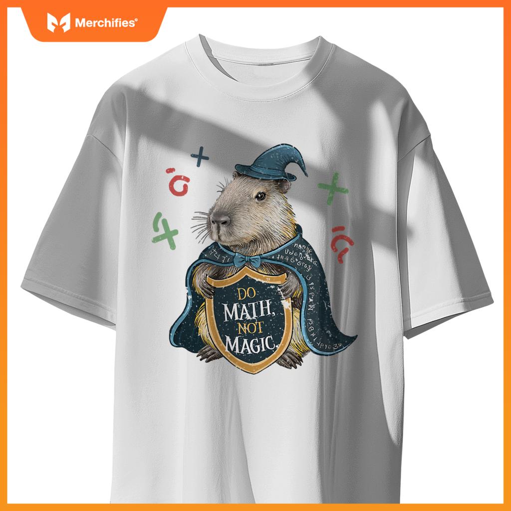 Do math not magic capybara wizard math teacher