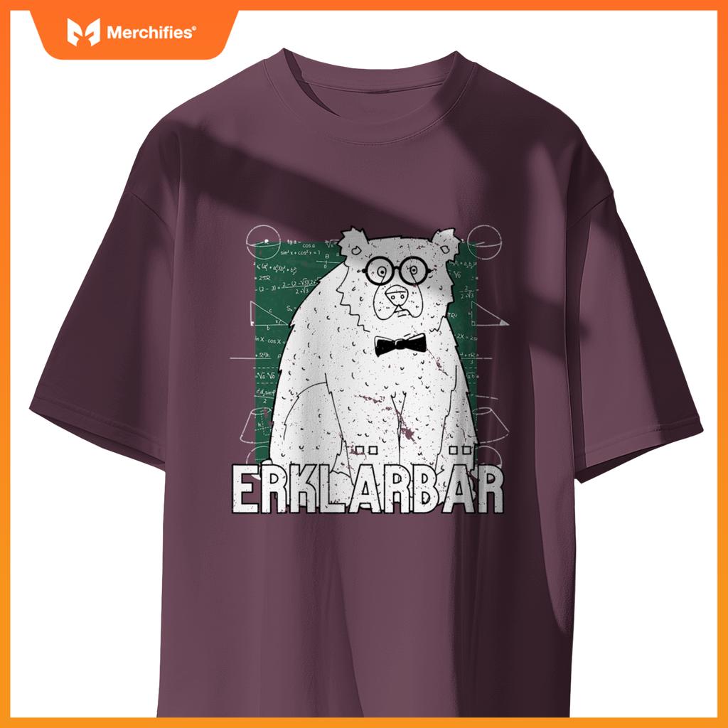 Explanatory bear  explanatory bear motif  teacher