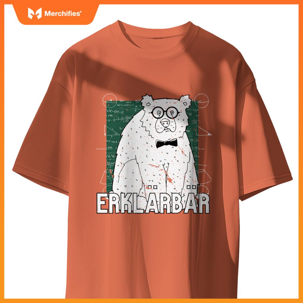 Explanatory bear  explanatory bear motif  teacher