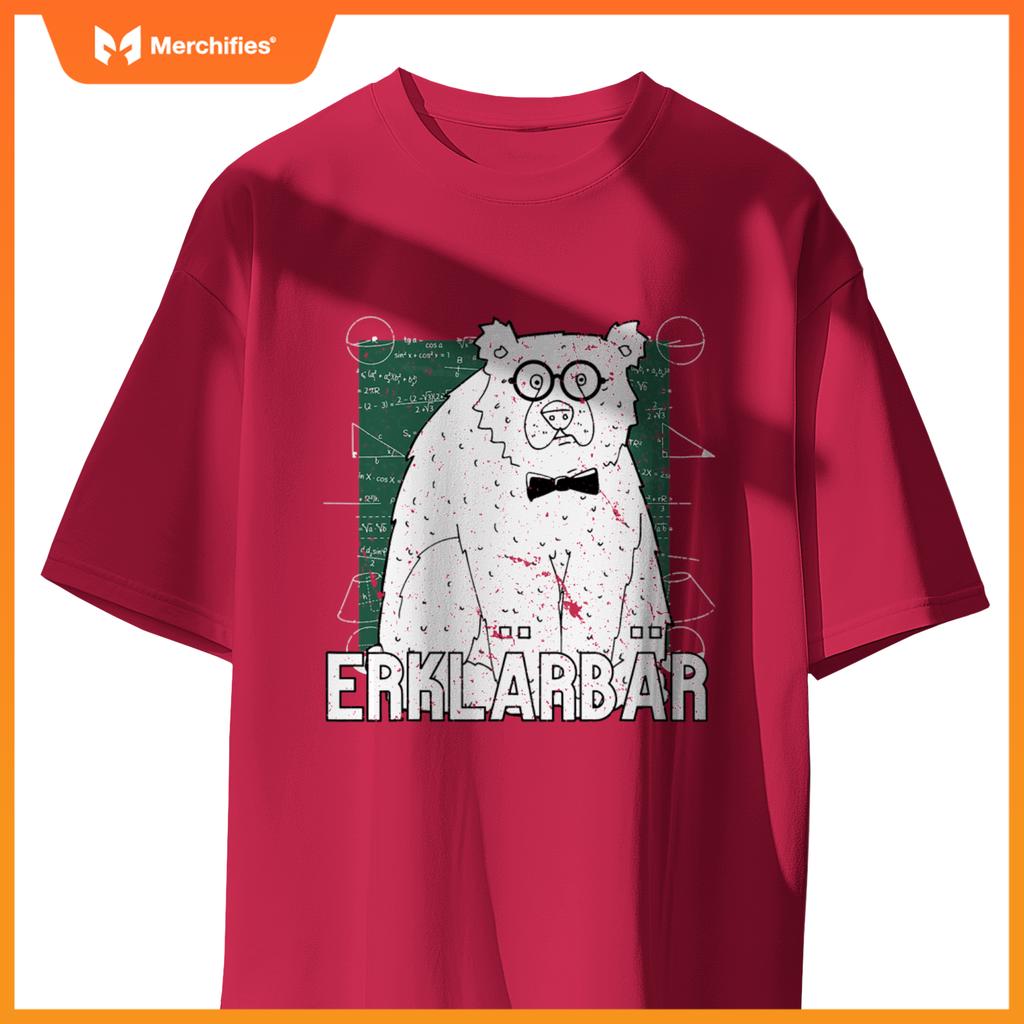 Explanatory bear  explanatory bear motif  teacher