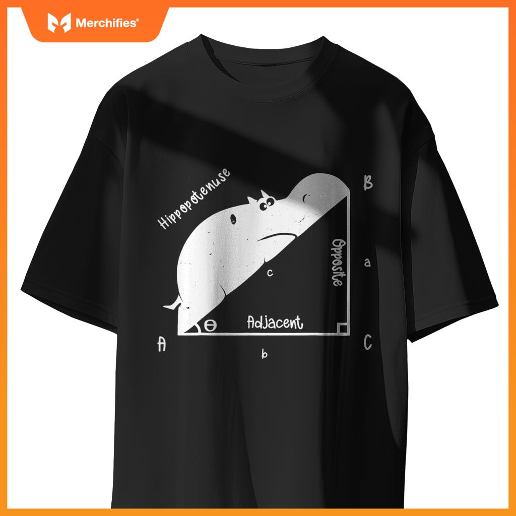Hippo math analytical  sarcasm humor teacher