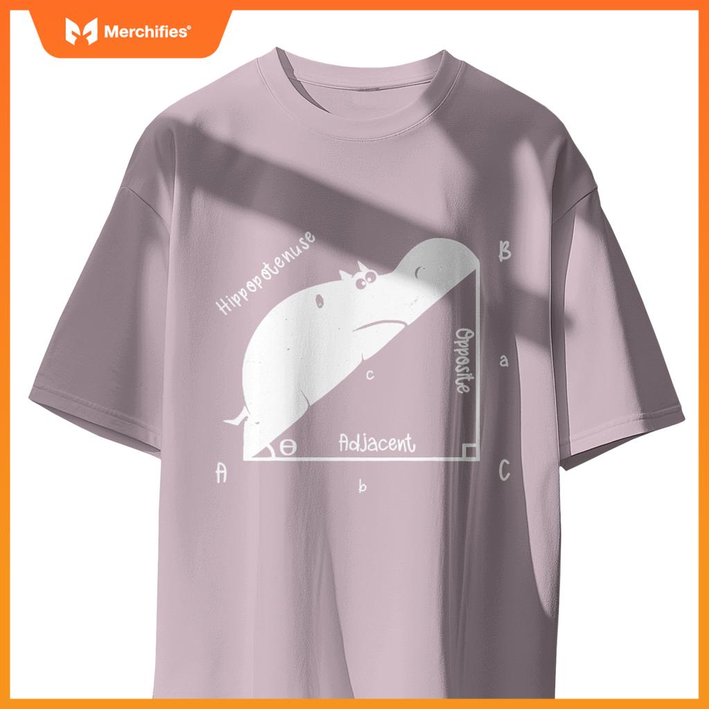 Hippo math analytical  sarcasm humor teacher