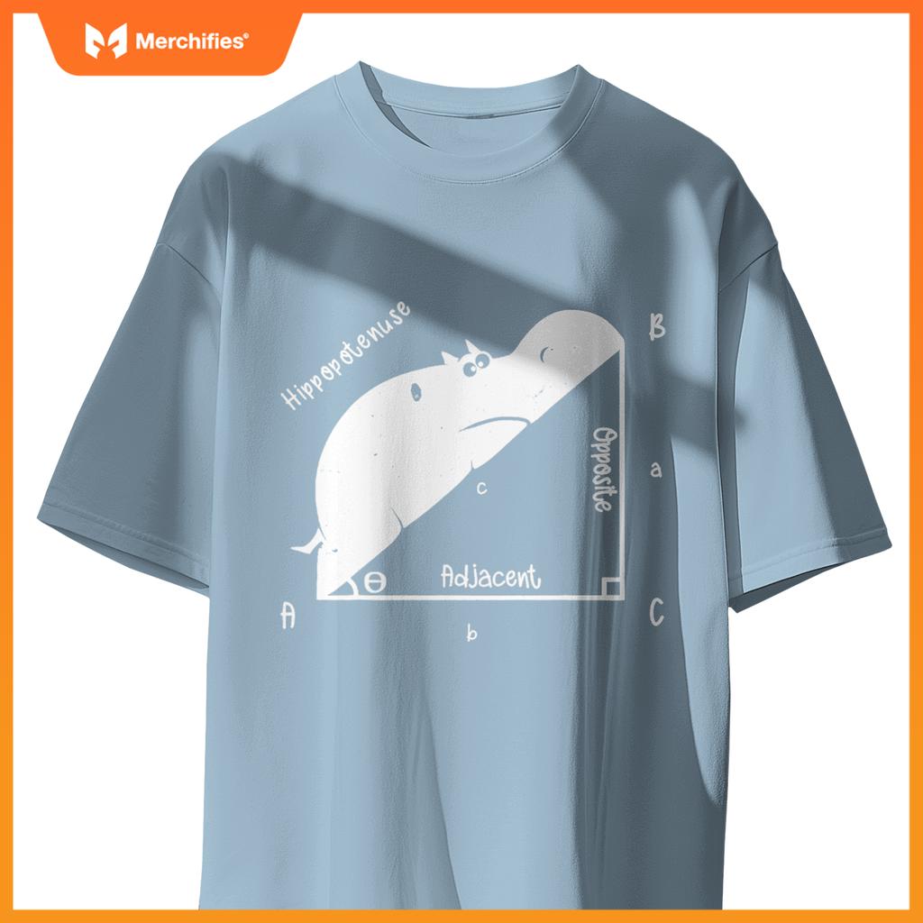 Hippo math analytical  sarcasm humor teacher
