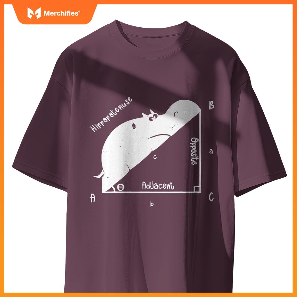 Hippo math analytical  sarcasm humor teacher