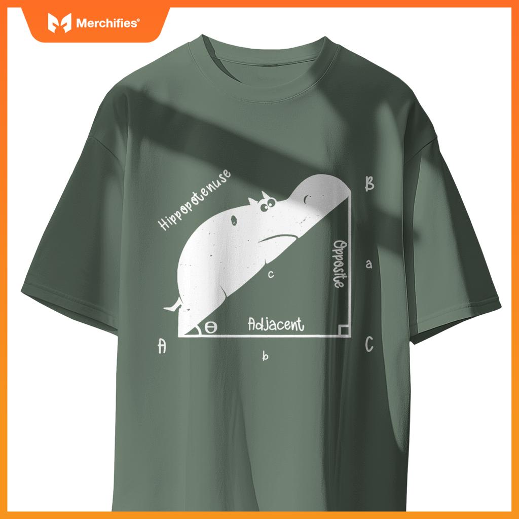 Hippo math analytical  sarcasm humor teacher
