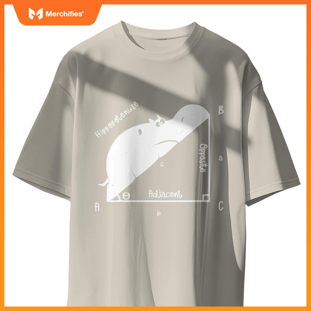 Hippo math analytical  sarcasm humor teacher