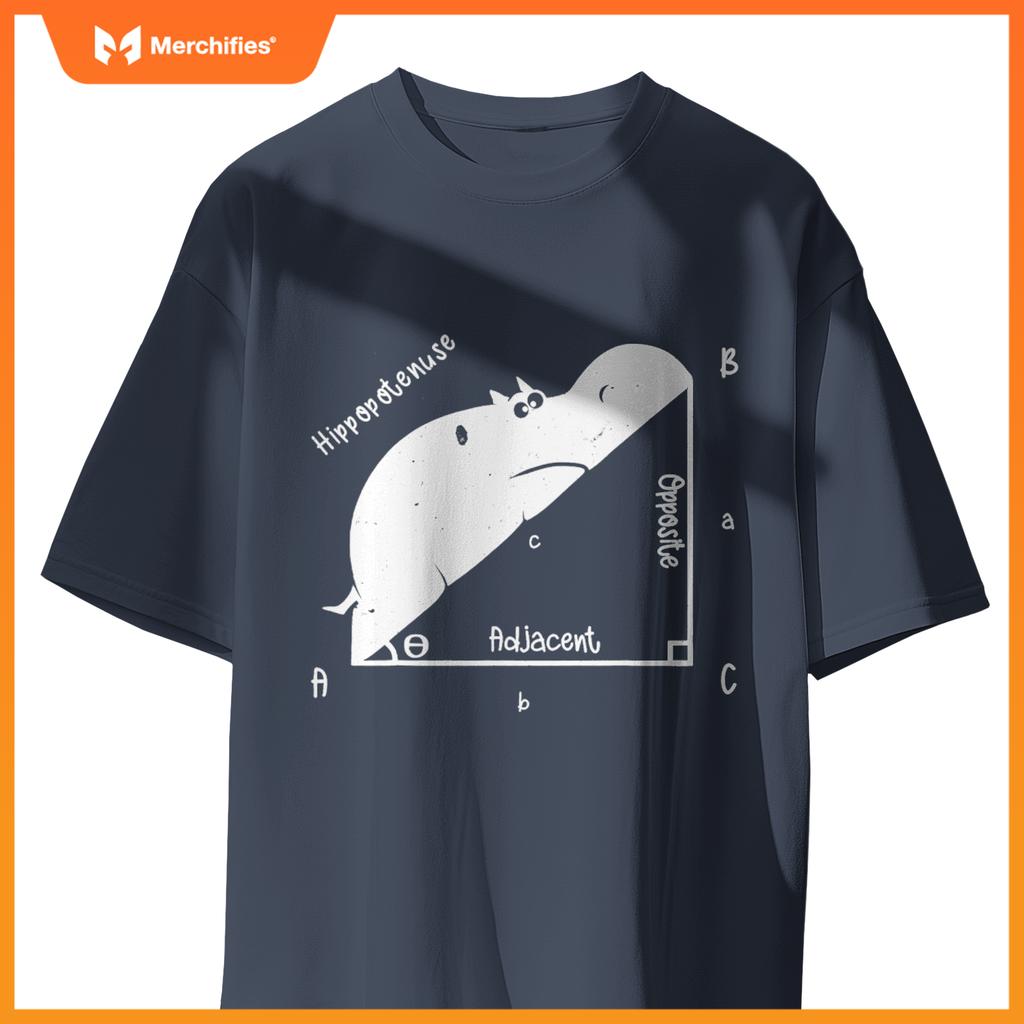 Hippo math analytical  sarcasm humor teacher