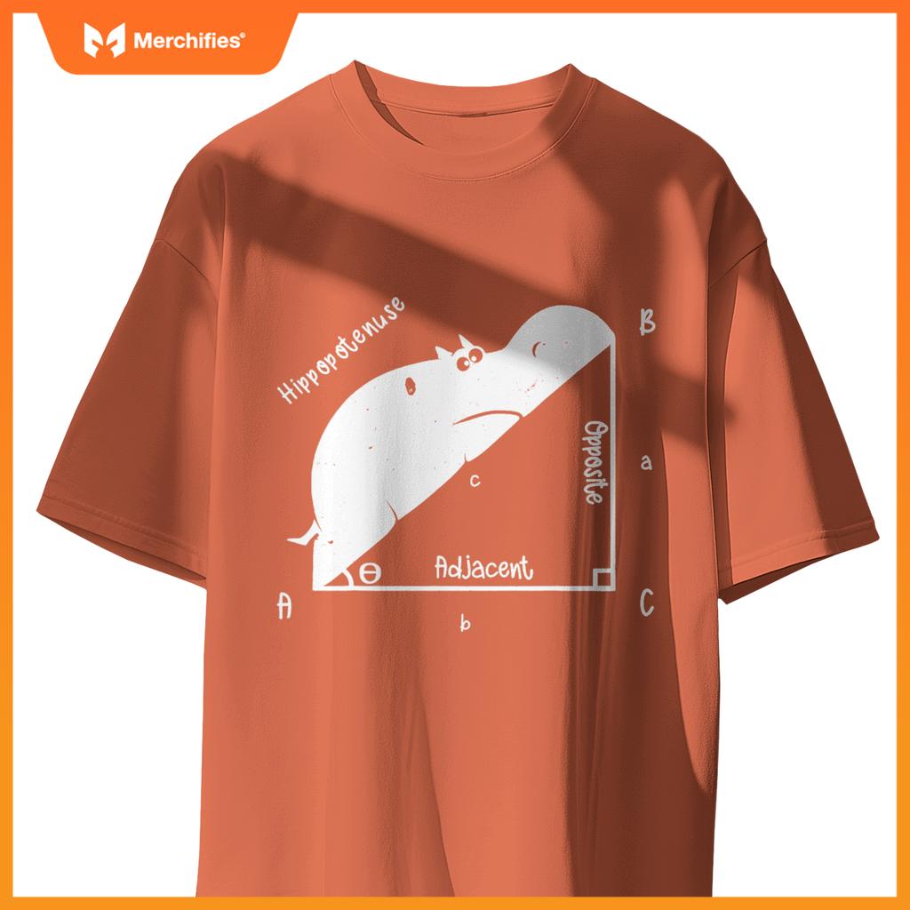 Hippo math analytical  sarcasm humor teacher