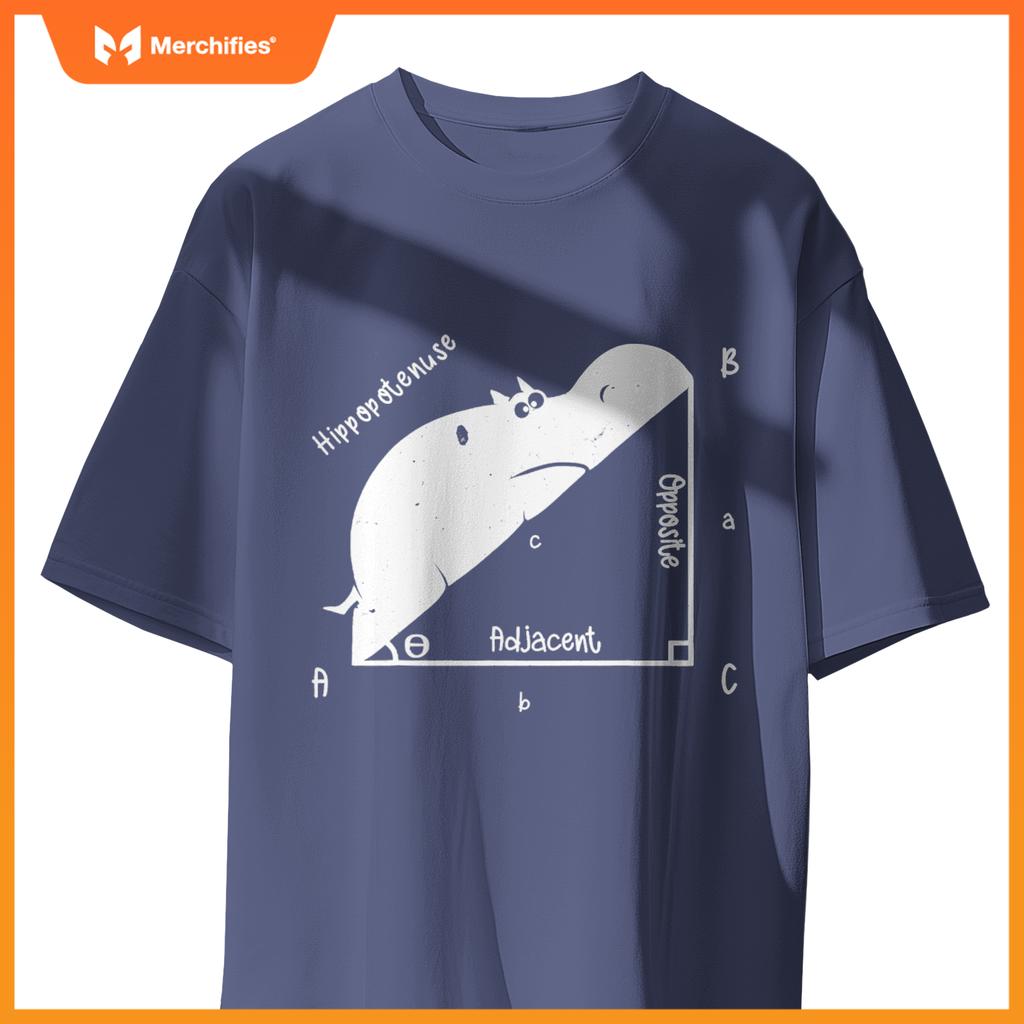Hippo math analytical  sarcasm humor teacher