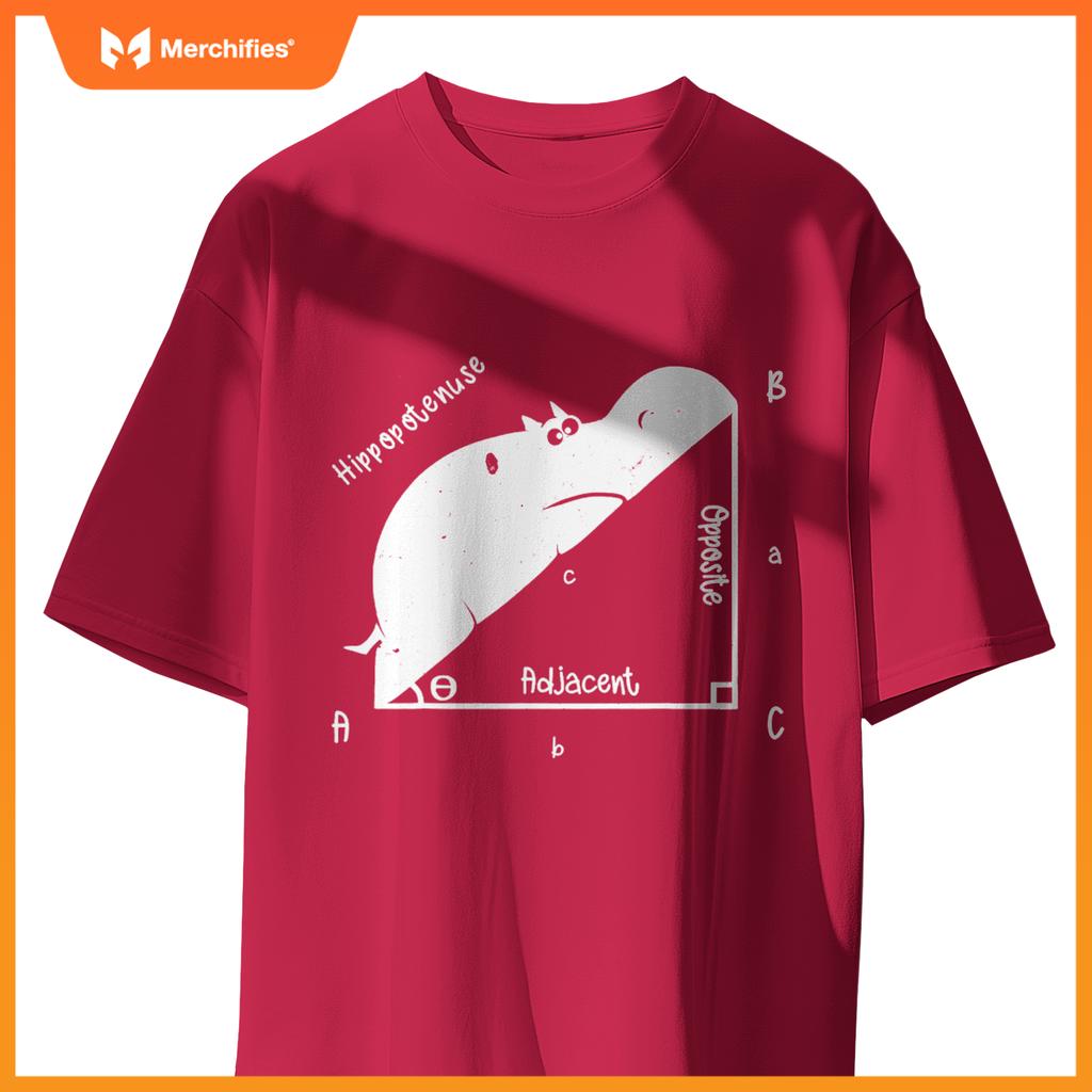Hippo math analytical  sarcasm humor teacher