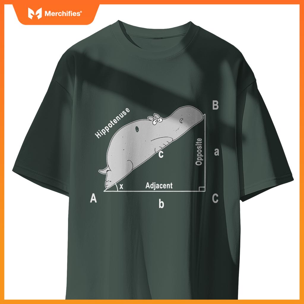 Hippo maths analytical sarcasm humor teacher