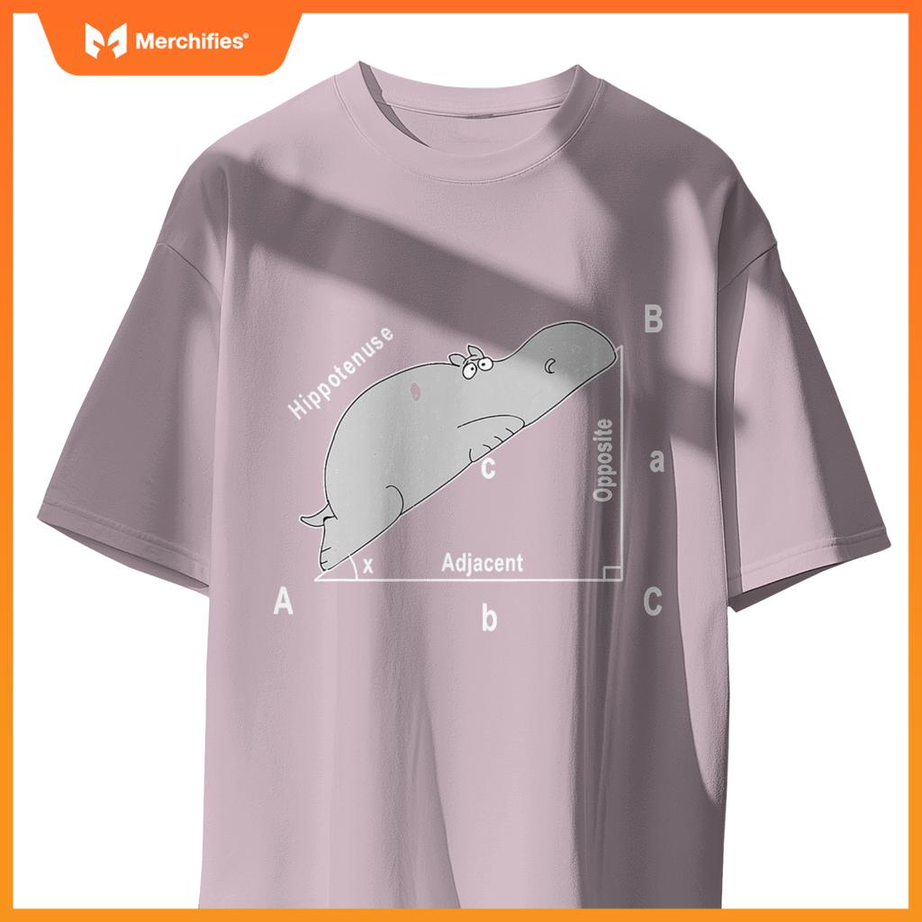 Hippo maths analytical sarcasm humor teacher