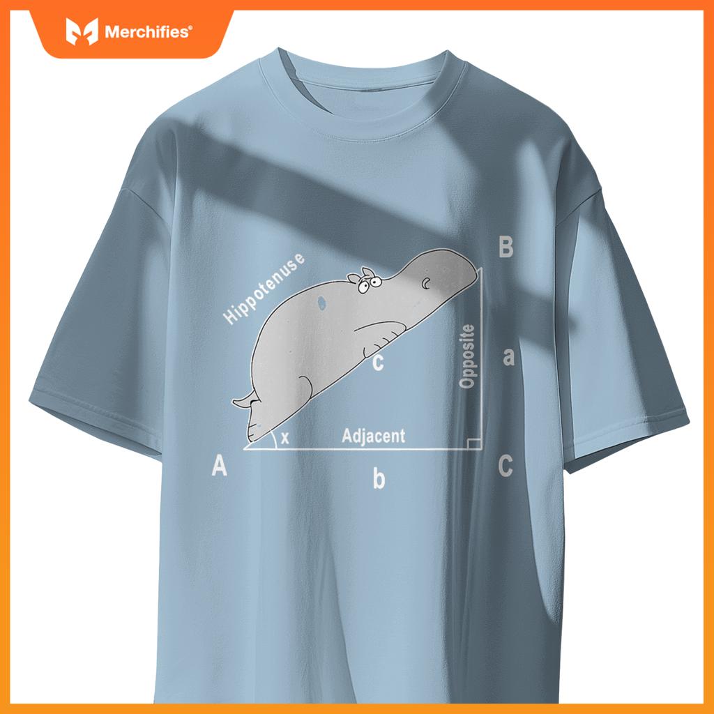 Hippo maths analytical sarcasm humor teacher