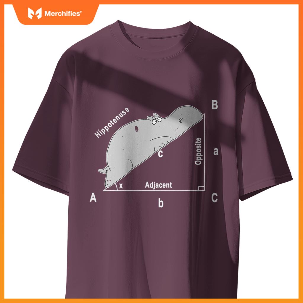 Hippo maths analytical sarcasm humor teacher
