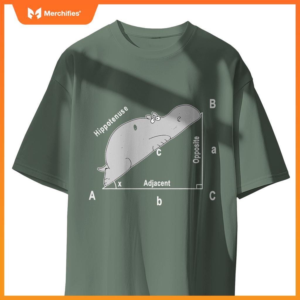 Hippo maths analytical sarcasm humor teacher