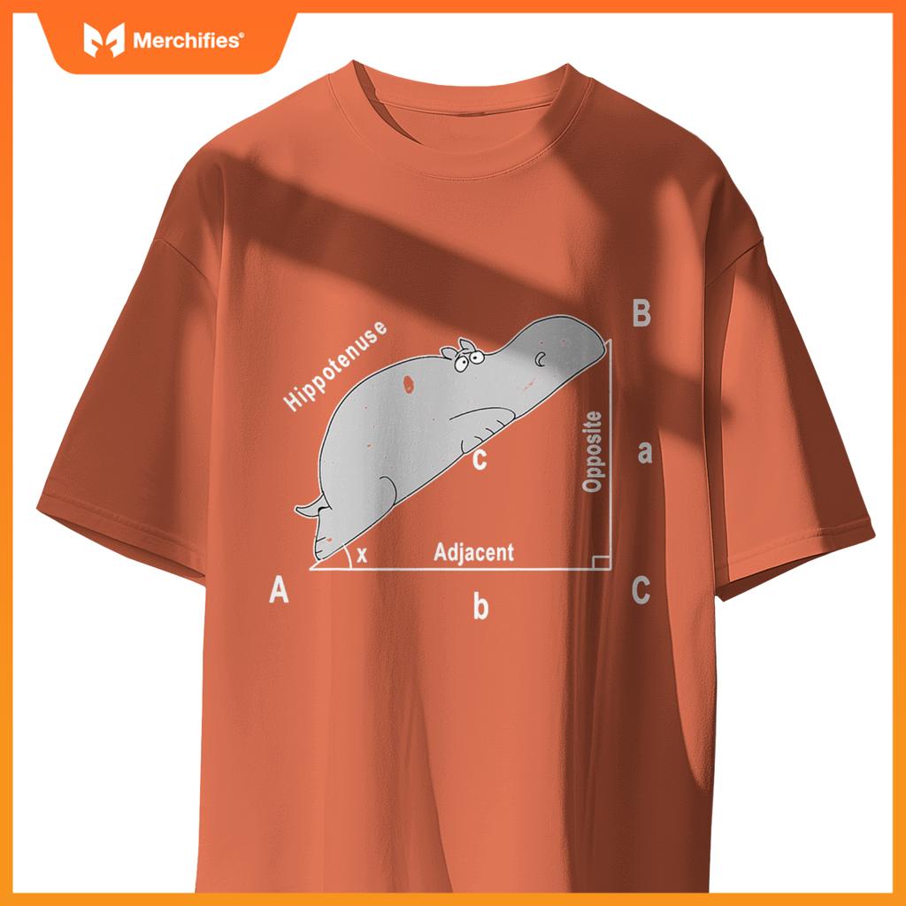 Hippo maths analytical sarcasm humor teacher