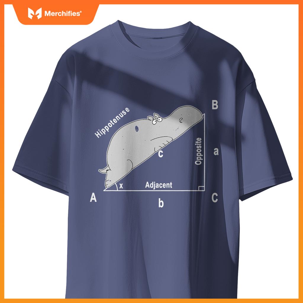 Hippo maths analytical sarcasm humor teacher