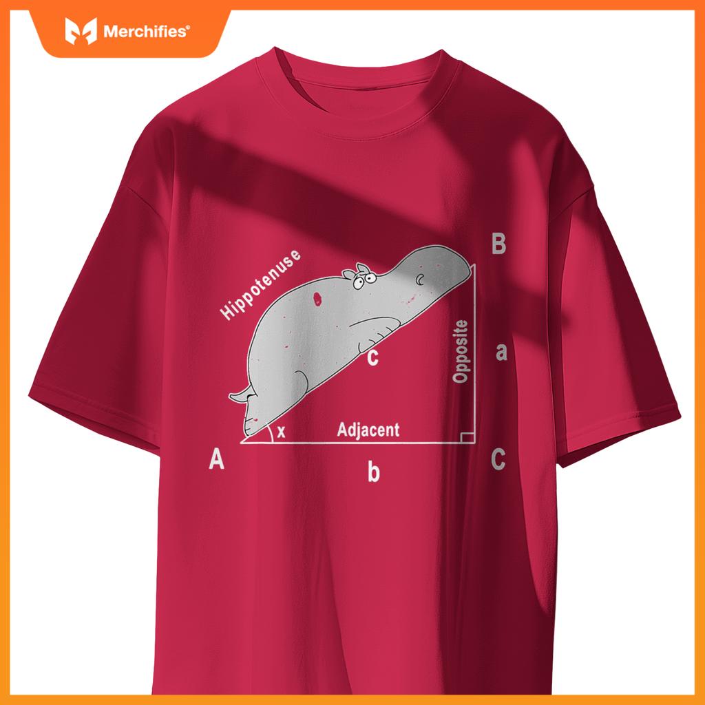 Hippo maths analytical sarcasm humor teacher