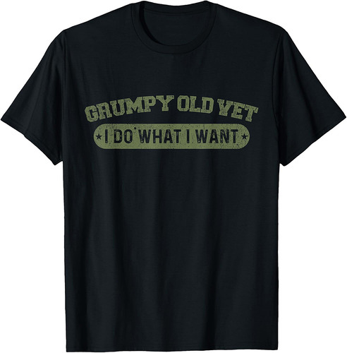 Grumpy Old Vet I Do What I Want Funny Military Veteran T-Shirt
